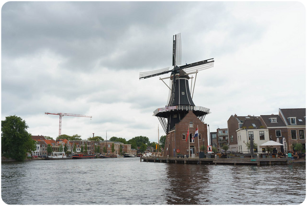 Escort Haarlem